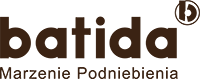 Logo Batida
